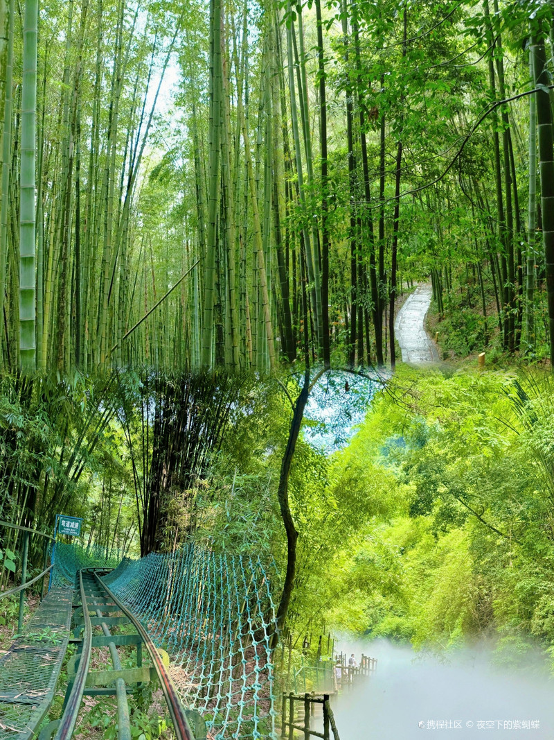 蜀南竹海,蜀南竹海,万顷碧波间的翠竹王国 蜀南竹海,蜀南竹海,万顷碧波间的翠竹王国