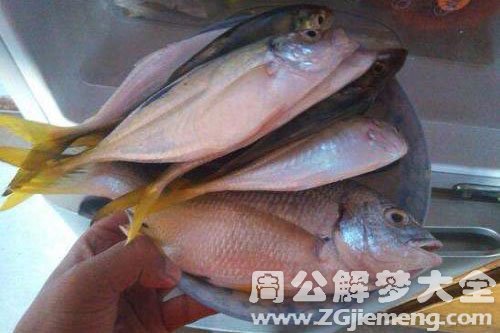 梦见很多鱼是什么意思，梦见很多鱼是什么意思
